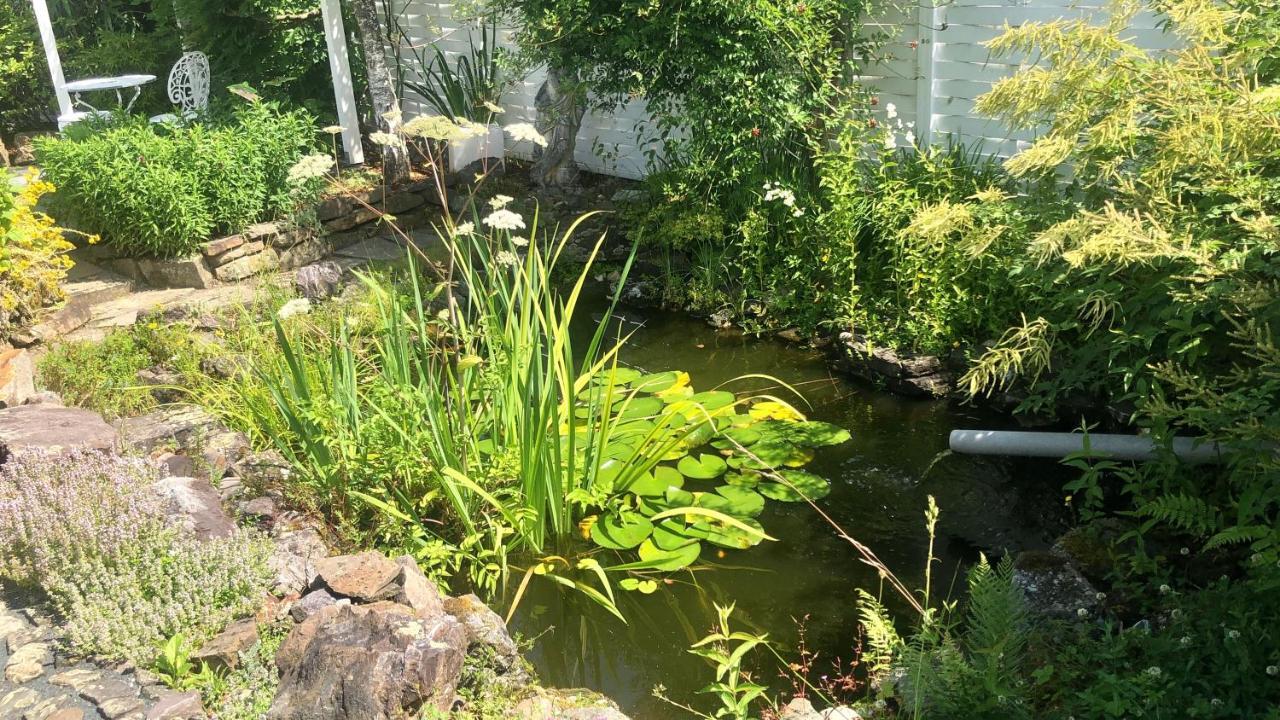 Appartement Wohnen Im Bergischen Fachwerk à Overath Extérieur photo